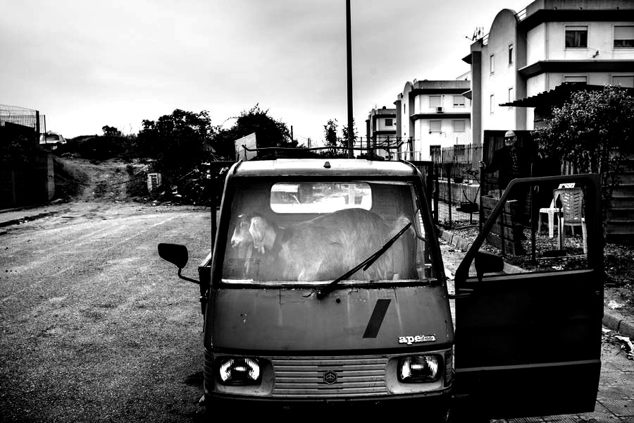slideshow image